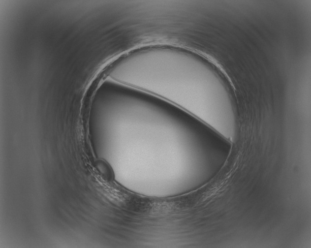 X0000054360927200507290801