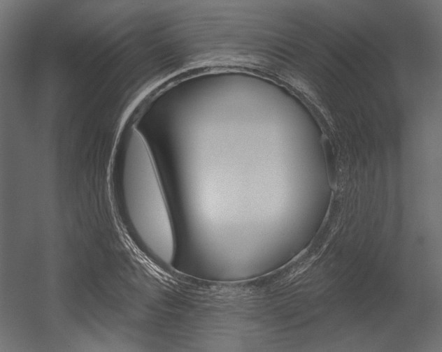 X0000054360928200507290801