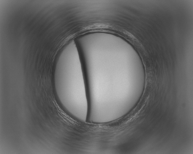X0000054360929200507290801