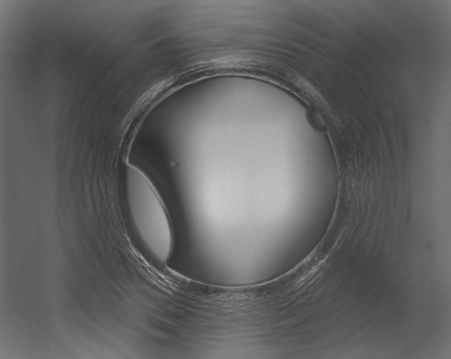X0000054360930200507290801