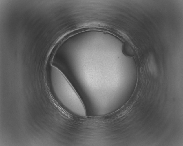 X0000054360931200507290801