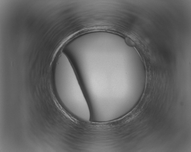 X0000054360933200507290801