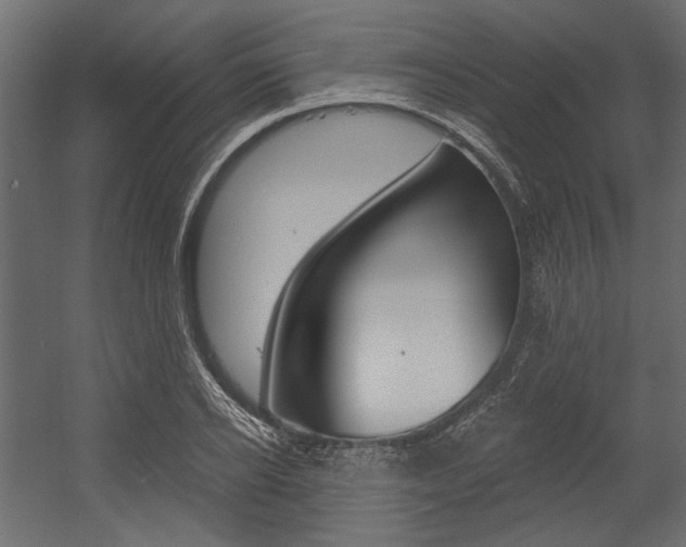 X0000054360934200507290801