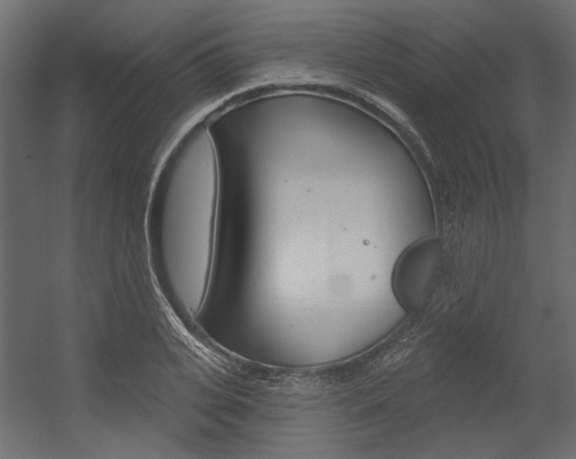 X0000054360935200507290801