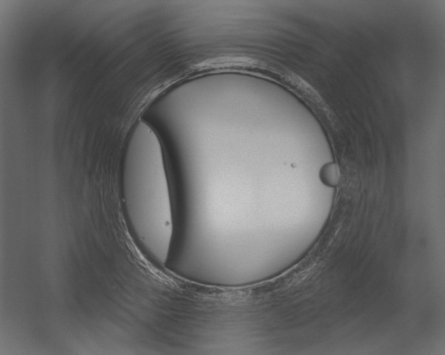 X0000054360937200507290801