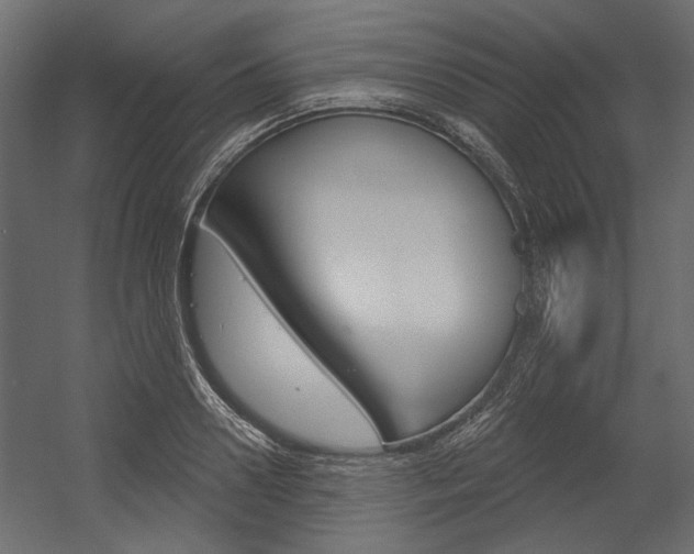 X0000054360938200507290801