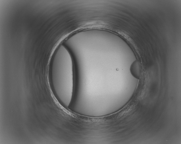 X0000054360941200507290801