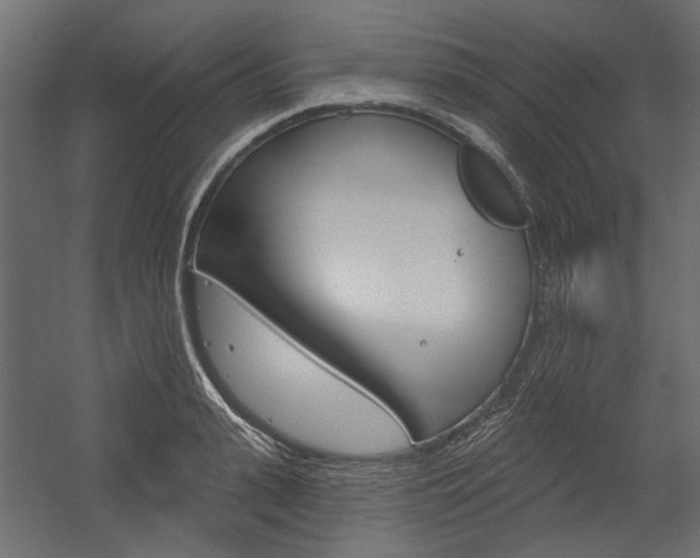 X0000054360943200507290801