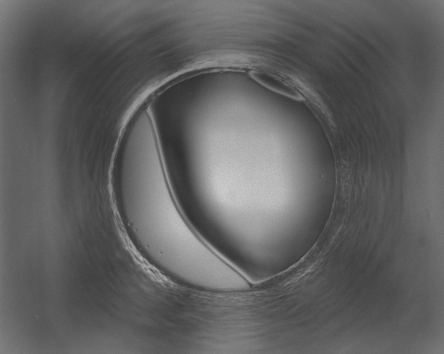 X0000054360944200507290801