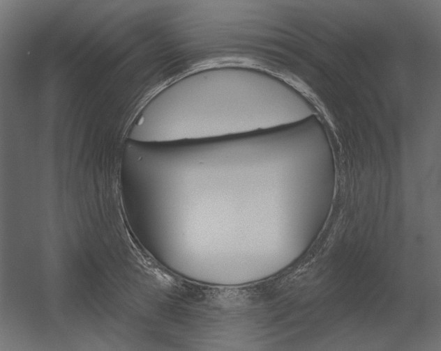 X0000054360945200507290801