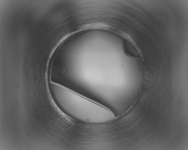 X0000054360947200507290801