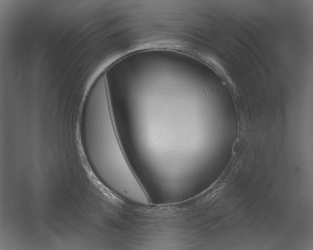 X0000054360952200507290801