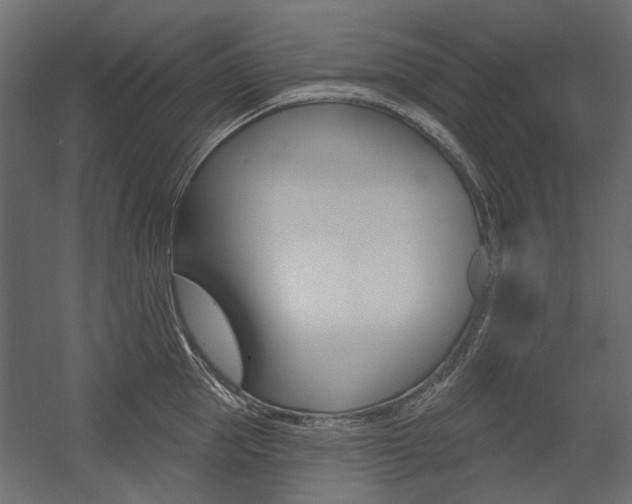 X0000054360953200507290801