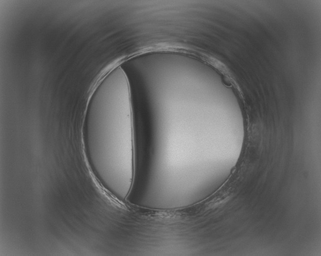 X0000054360954200507290801
