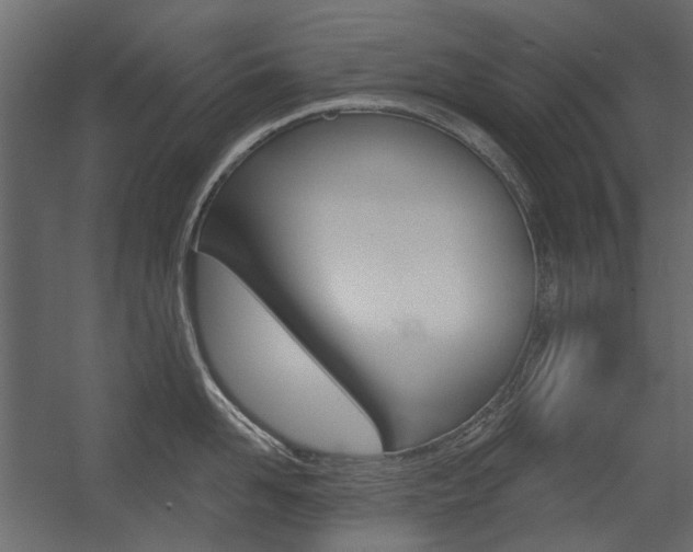 X0000054360958200507290801