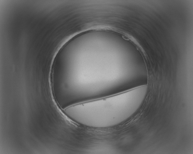 X0000054360959200507290801