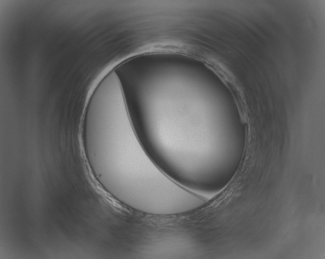 X0000054360960200507290801