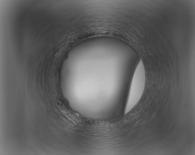 X0000054360961200507290801