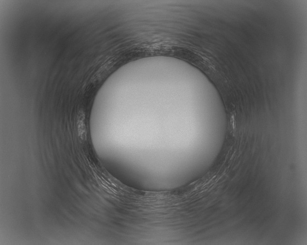 X0000054360963200507290801