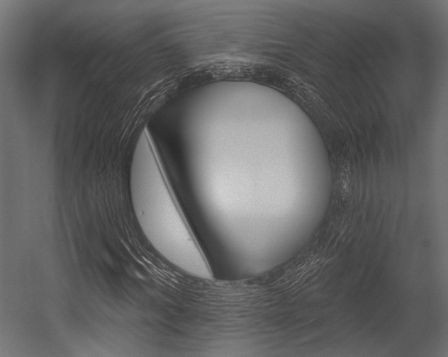 X0000054360964200507290801