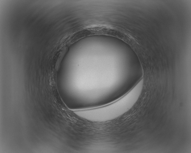 X0000054360965200507290800