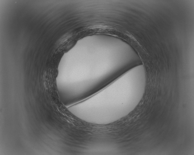 X0000054360967200507290800