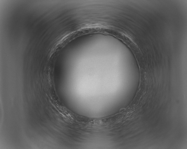 X0000054360968200507290800