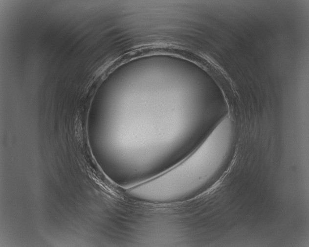 X0000054360969200507290800