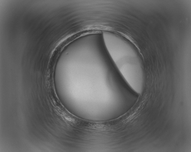 X0000054360971200507290800