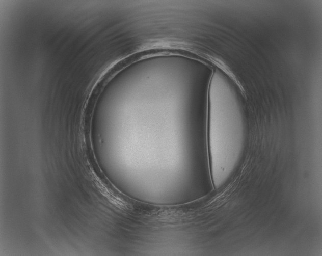 X0000054360972200507290800