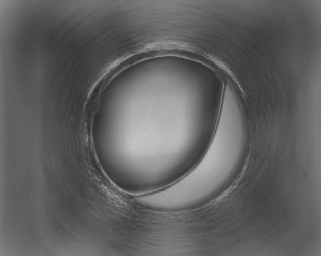 X0000054360973200507290800
