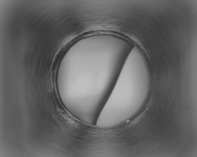 X0000054360974200507290800