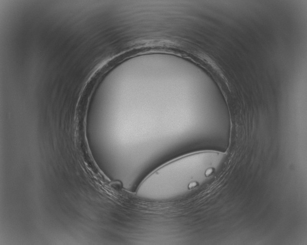 X0000054360975200507290800