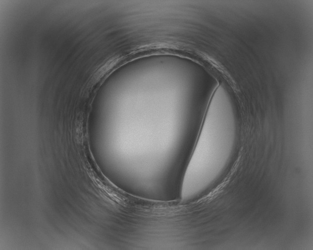 X0000054360977200507290800