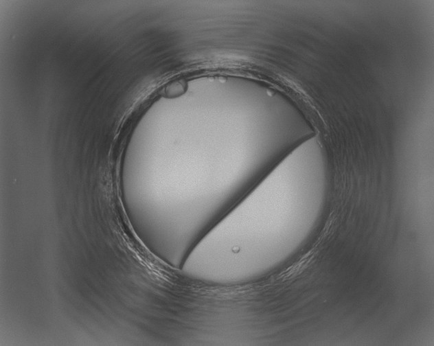 X0000054360978200507290800