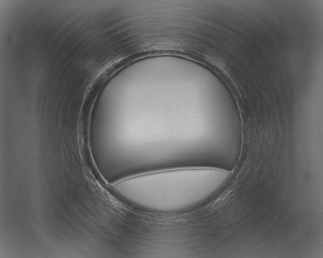 X0000054360979200507290800