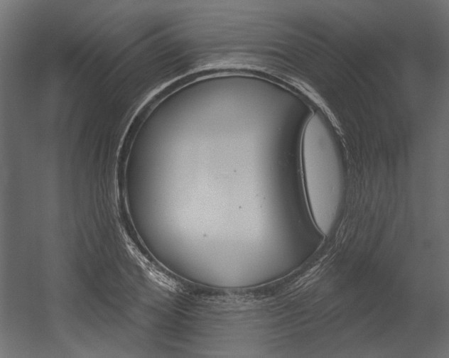 X0000054360980200507290800