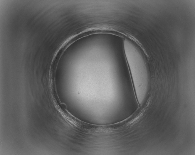 X0000054360981200507290800