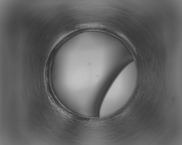 X0000054360983200507290800