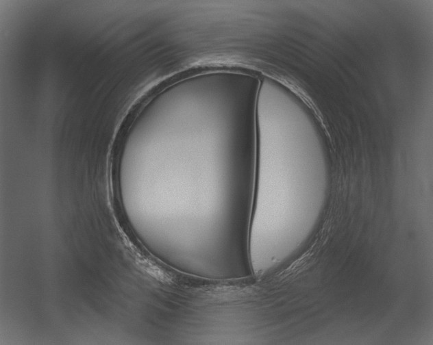 X0000054360984200507290800