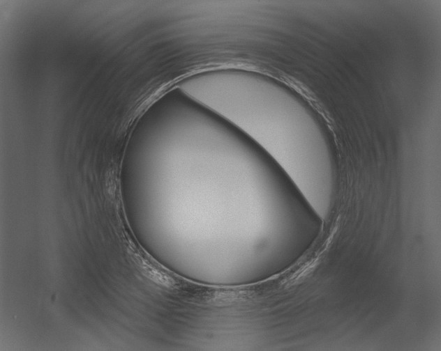 X0000054360985200507290800