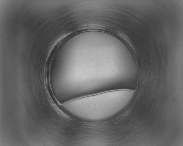 X0000054360987200507290800