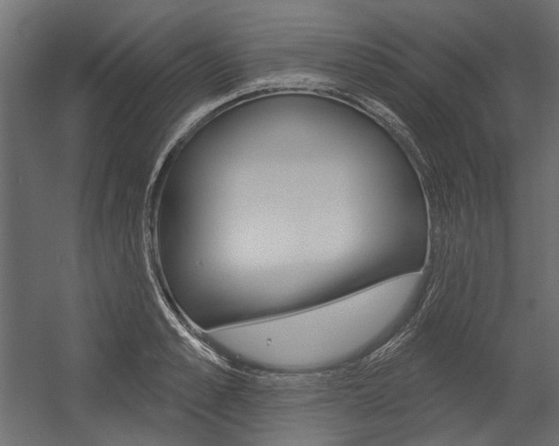 X0000054360989200507290800