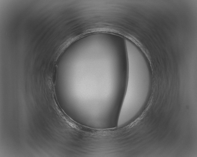 X0000054360993200507290800