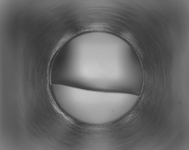 X0000054360994200507290800
