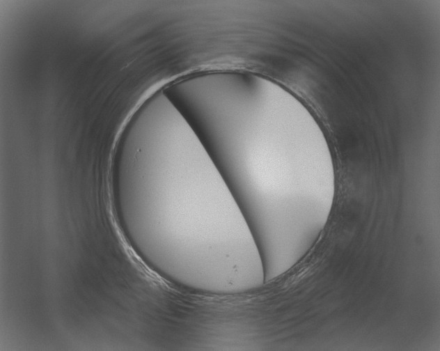 X0000054361000200507290800