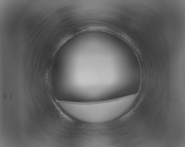 X0000054361001200507290800