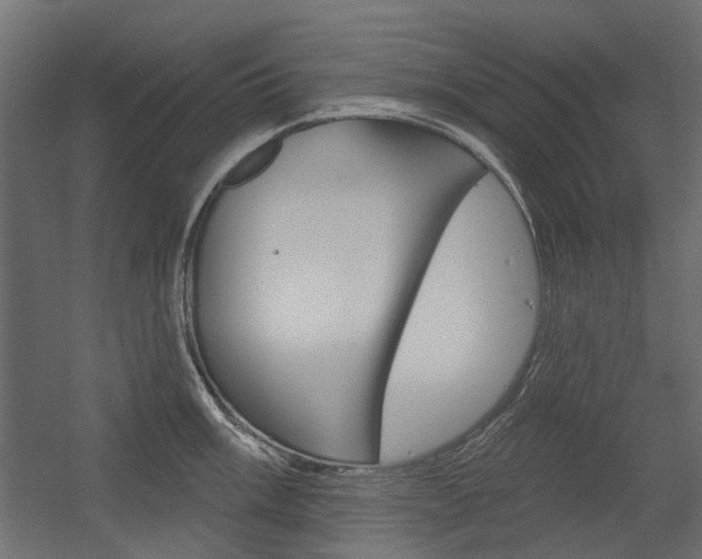 X0000054361003200507290800