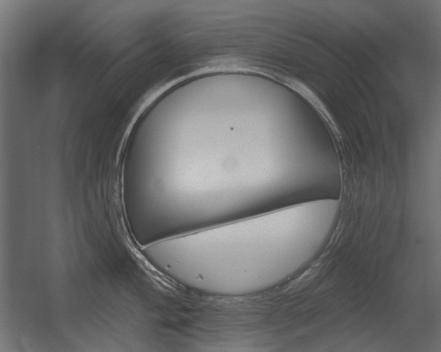 X0000054361004200507290800