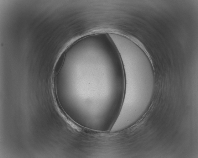 X0000054361005200507290800